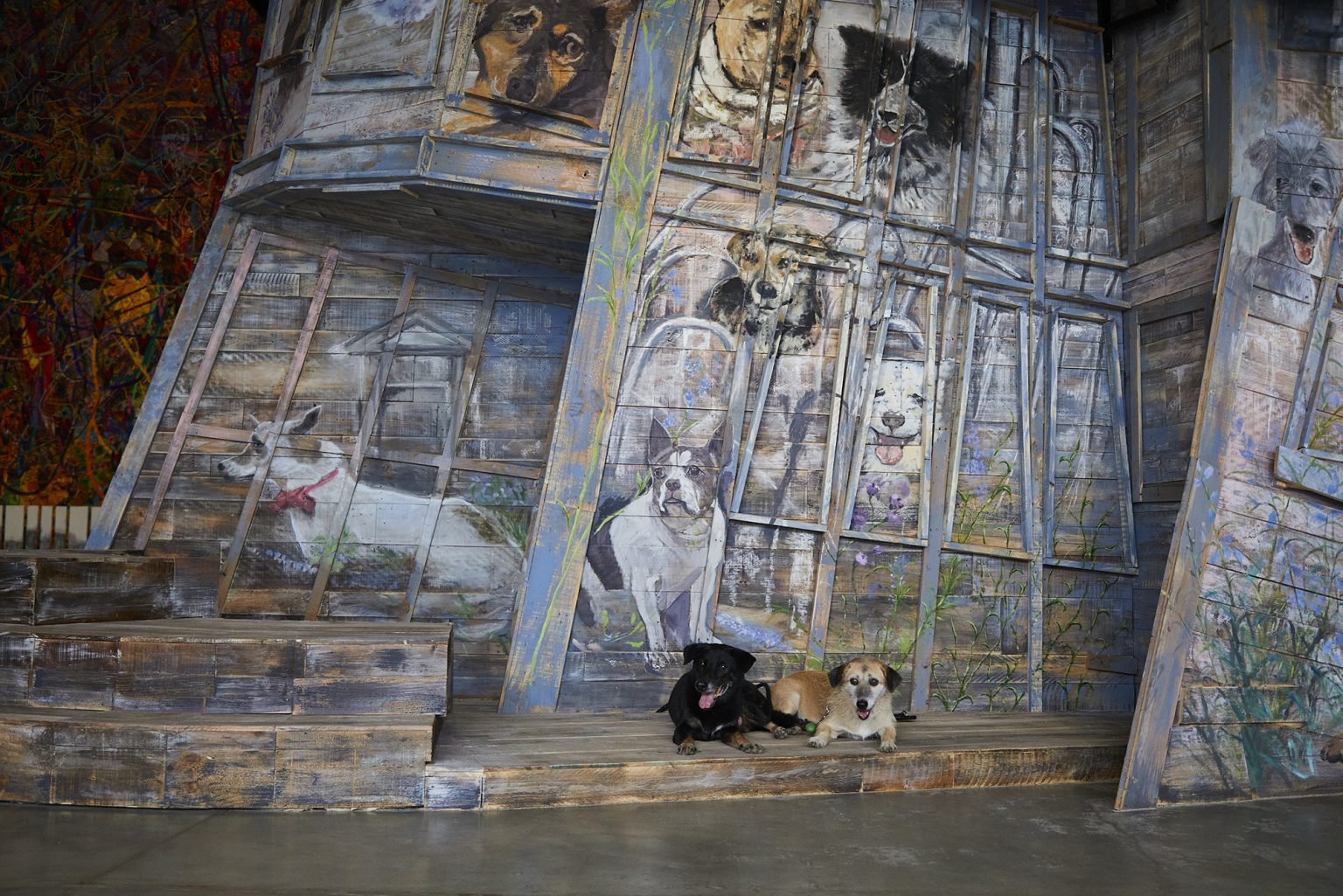 犬の絵が描かれた木造の建物と、その前に座る2匹の本物の犬