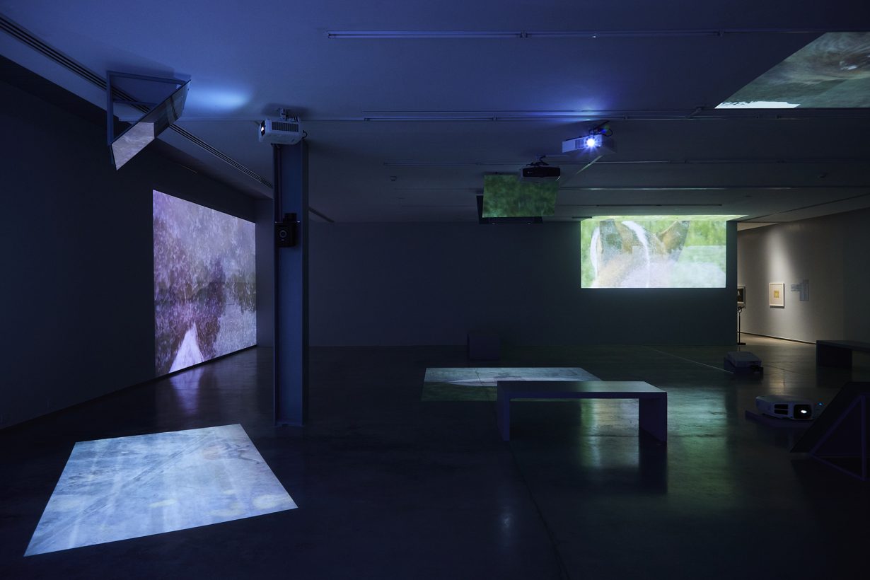 部屋の隅に積み上げられたウッドチップの山と、その中に吊るされたテーブル