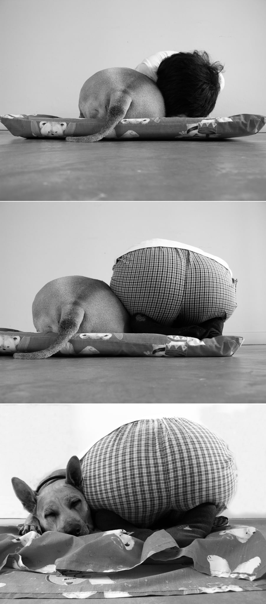 人間の頭の上部の隣にある、犬のお尻側の下半身