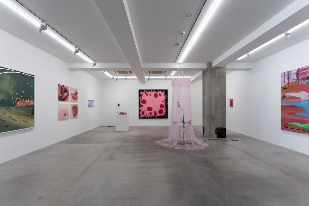 Installation view of "Pink" exhibition at Ota Fine Arts