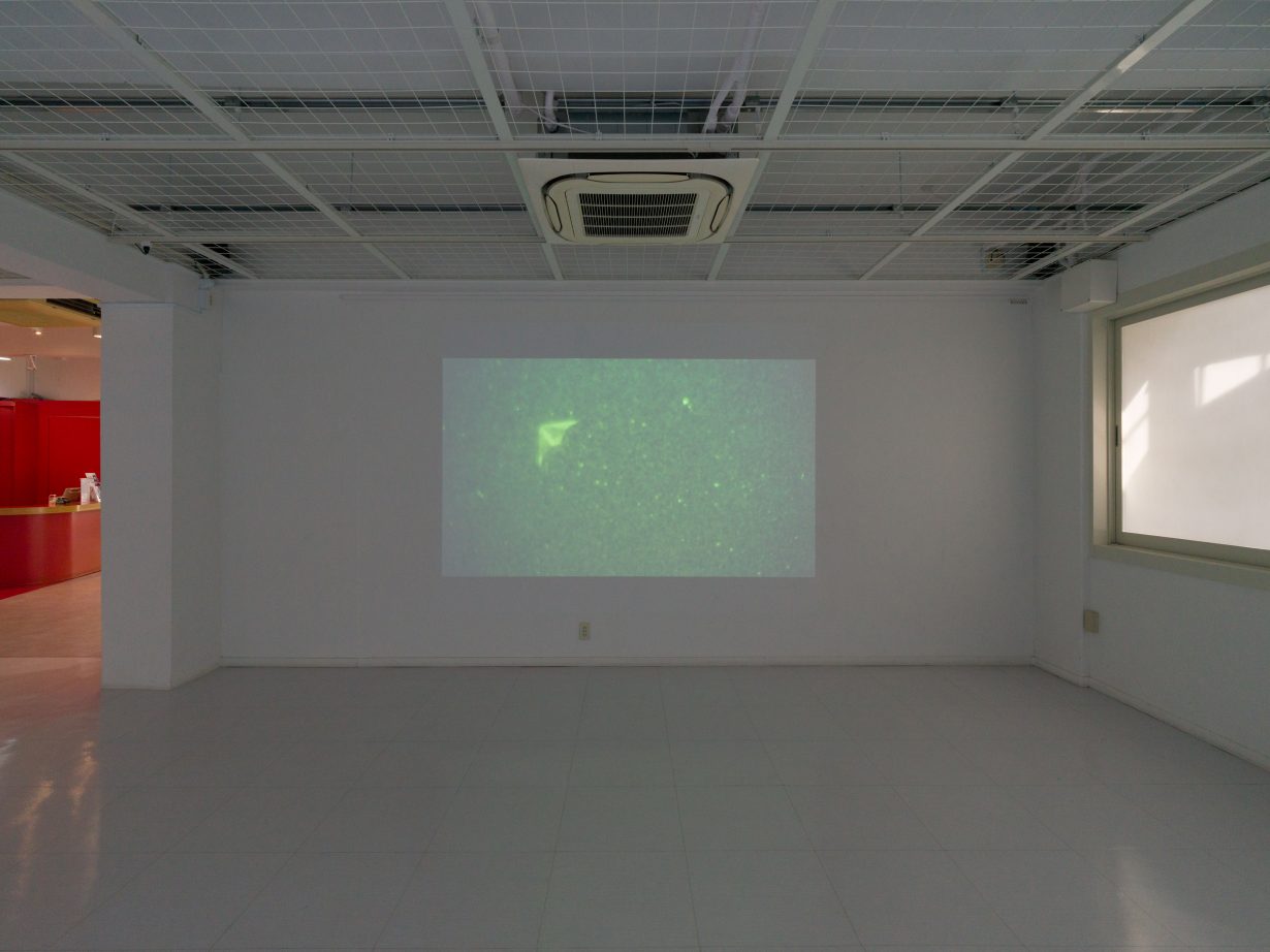 Color photograph of Victoire Thierrée's video piece UFO (2016) projected onto a gallery wall