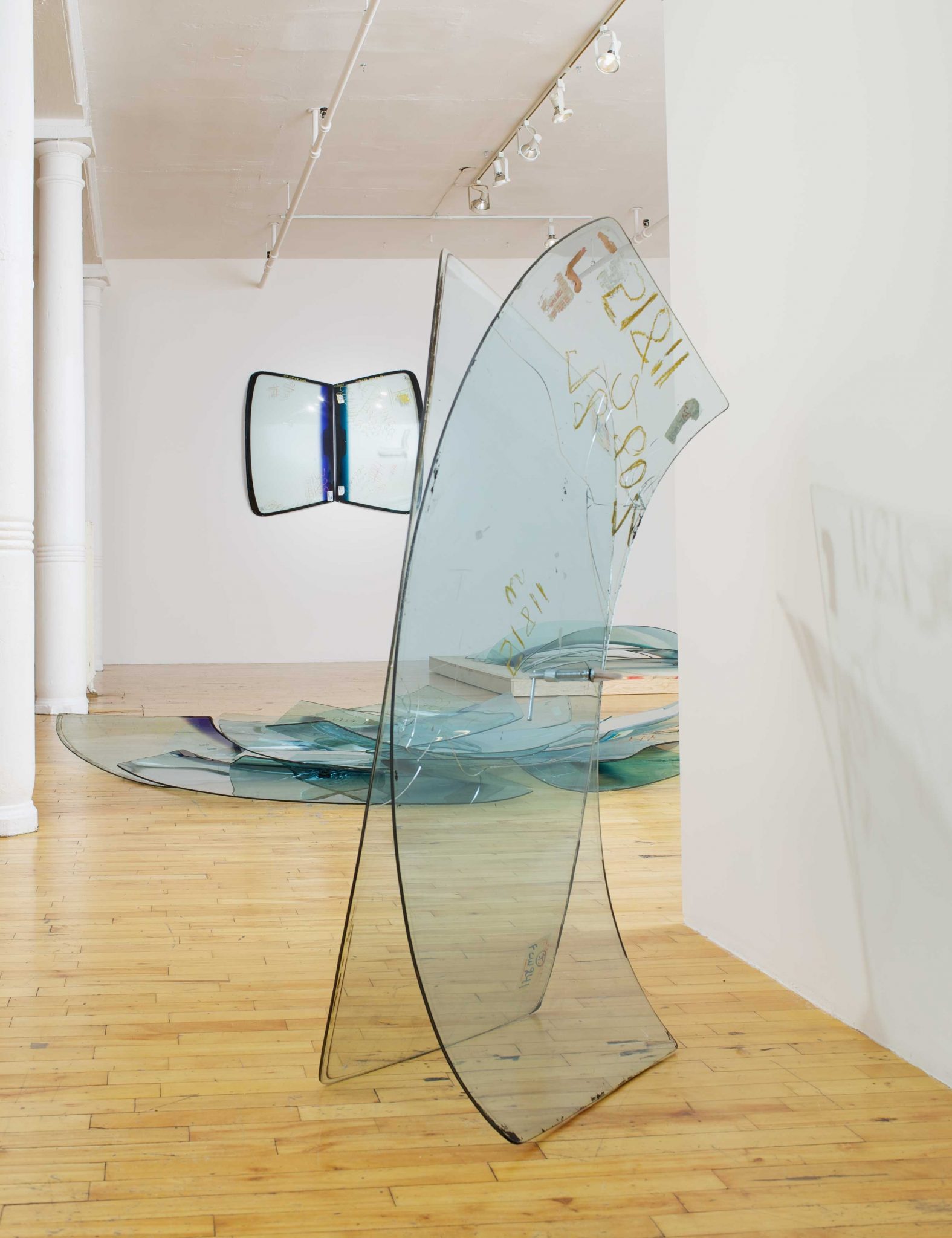 Mariposas Migratorias (Migratory Butterflies), 2013 (installation view). Courtesy Clifton Benevento, New York