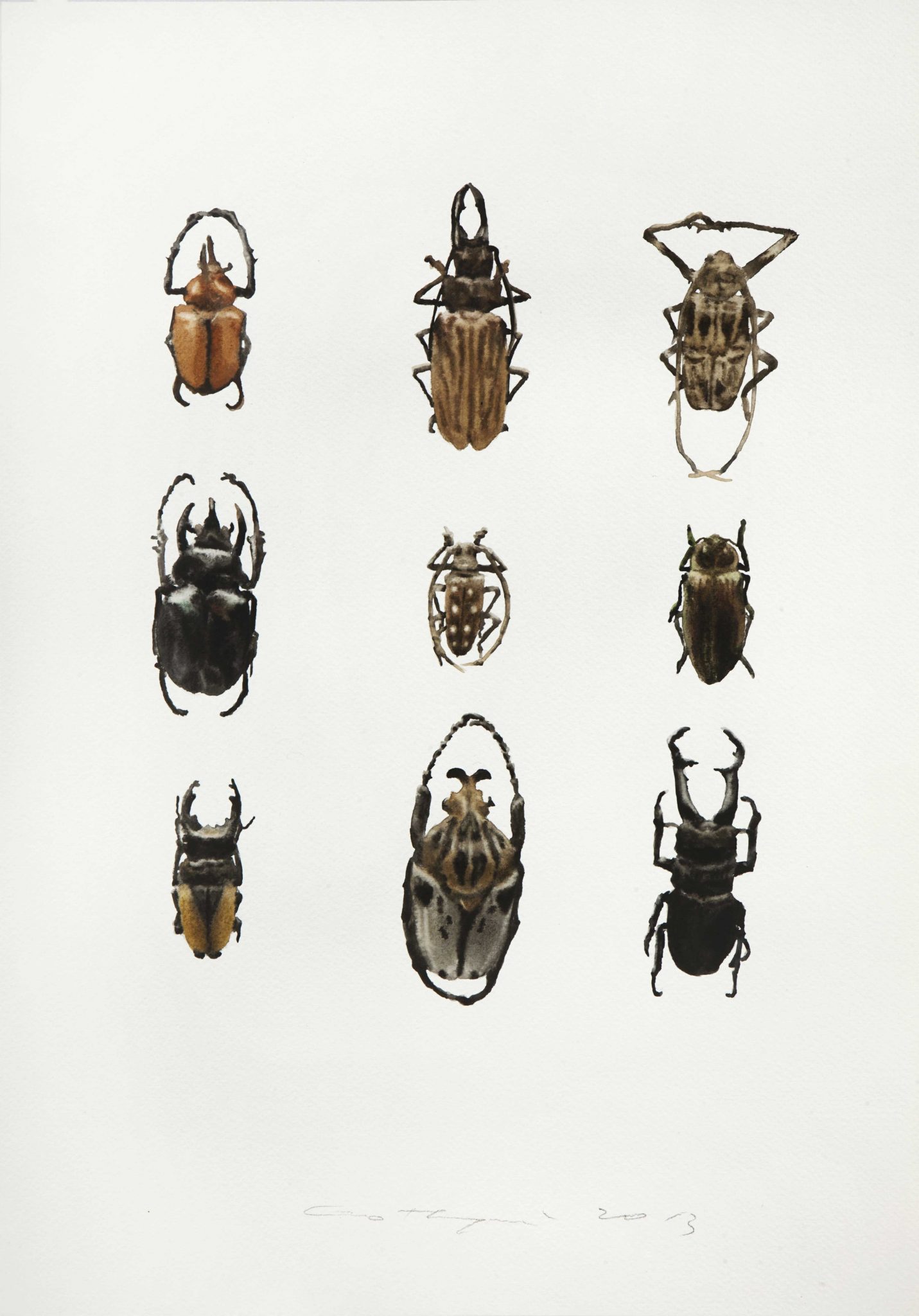 Guo Hongwei, Painting Is Collecting - Insect No.8, 2013.