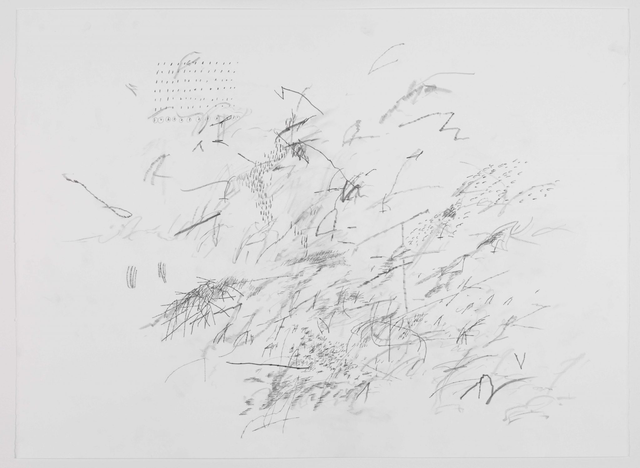 Mind Breath Drawing, 2012, graphite on paper. Courtesy the artist and Marian Goodman Gallery, Paris & New York