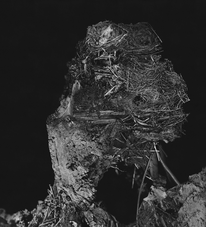 Agnieszka Polska, Arton 1, from May 2014 Review The Night of the Great Season