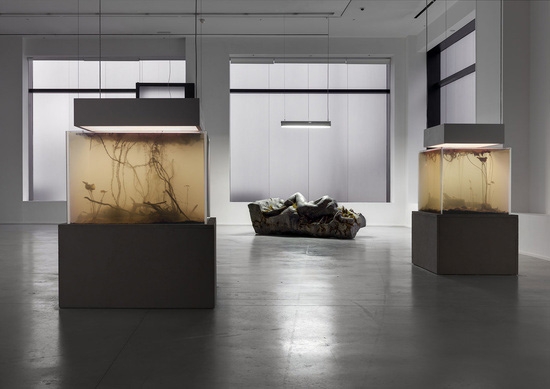 Pierre Huyghe, In. Border. Deep, from Preview Frieze Week 2014