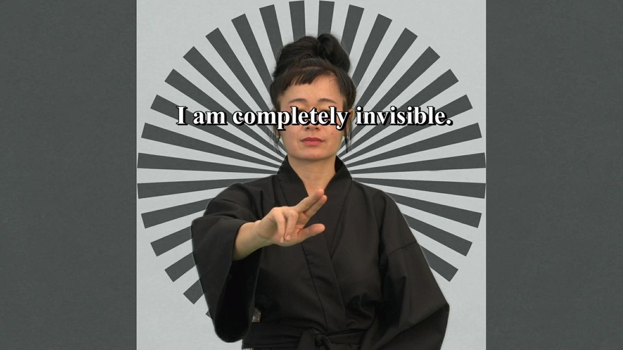 Hito Steyerl, How Not To Be Seen. A Fucking Didactic Educational , 2013