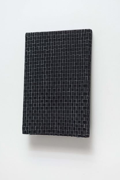 Jarbas Lopes Desenho Elástico