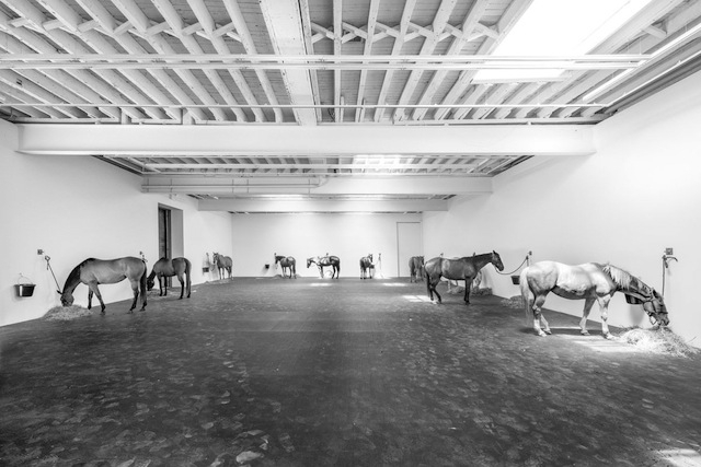 Jannis Kounellis 12 Horses