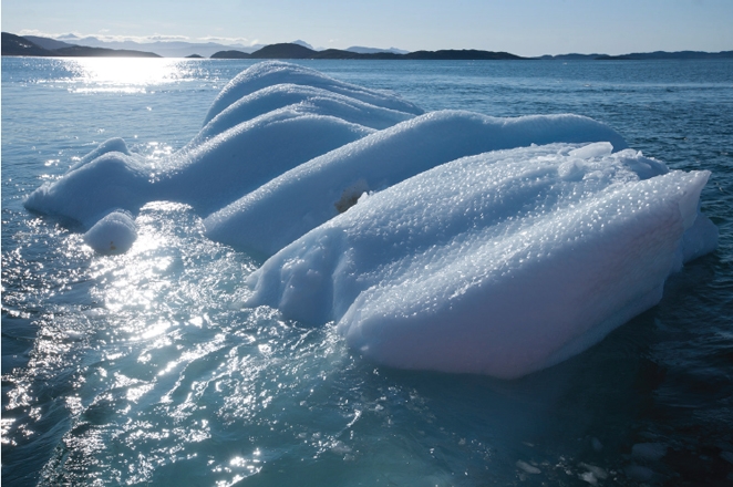 Olafur Eliasson, Ice Watch 2015, Ice Block, Preview