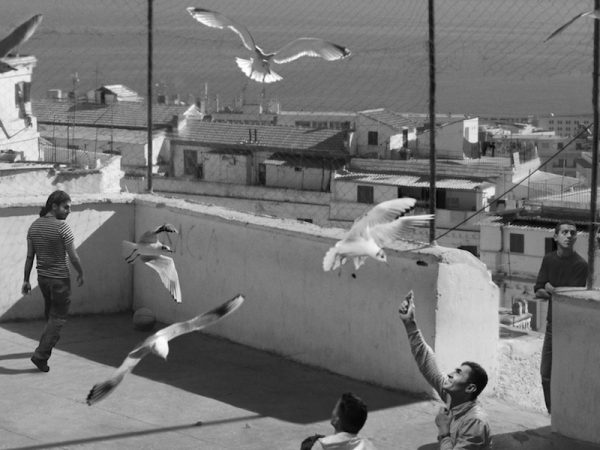 David Claerbout, The Algiers’ Sections of a Happy Moment, 2008. Jan_Feb 2016 Review 