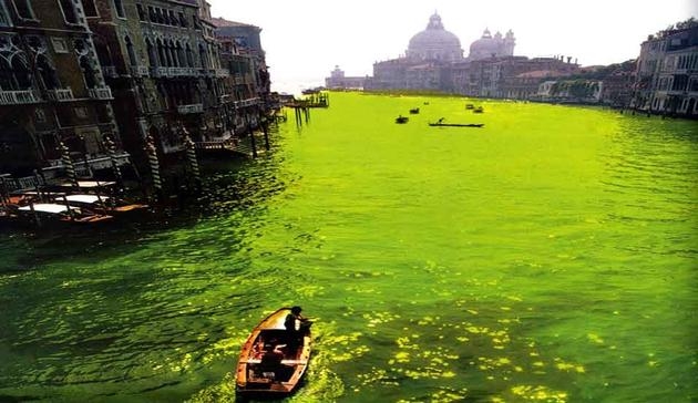 Nicolás García Uriburu, Colouration of Grand Canal for Venice Biennale, 1968. News 24 June 2016