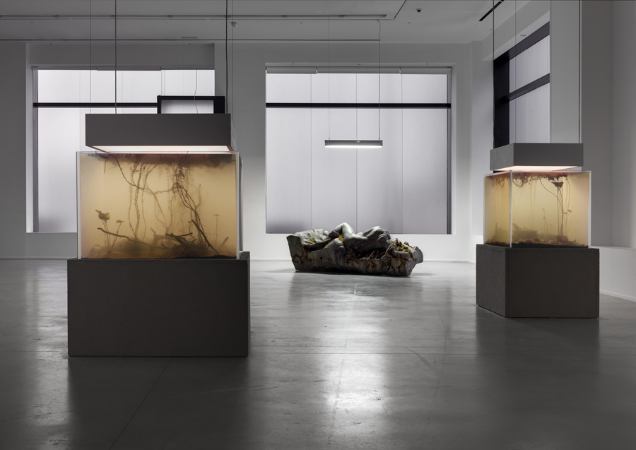 Pierre Huyghe In. Border. Deep, from Dec 2014 Review