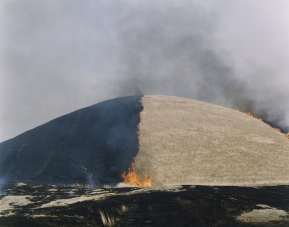 Rinko Kawauchi, seventh Prix Pictet shortlist, News 15 Nov 2016