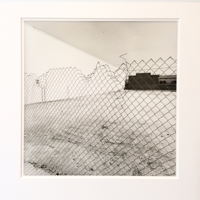Lee Friedlander, Chain Link, 1972–. 5 to see: Photo London