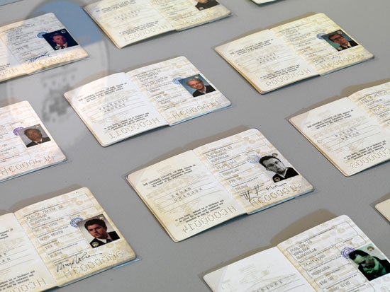 Diplomatic passports of NSK members, from 2017 Venice 21 NSK pavilion