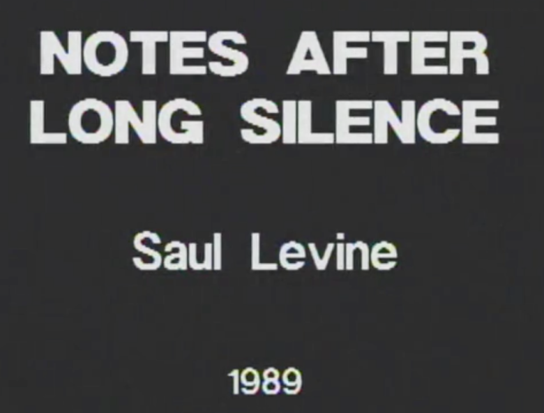 Saul Levine, Notes after a Long Silence