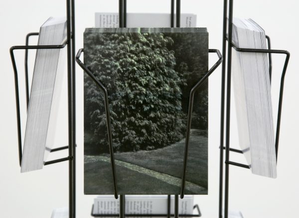 Becky Beasley, Flora, A Life (detail), 2013, revolving postcard rack, 12 postcards, 165.1 x 30.5 x 30.5 cm. 