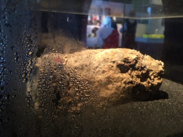 Fatberg!, 2018, at the Museum of London. AR Summer 2018 Feature