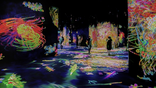 TeamLab, Graffiti Nature: Lost, Immersed and Reborn, 2018. AR December 2018 Review