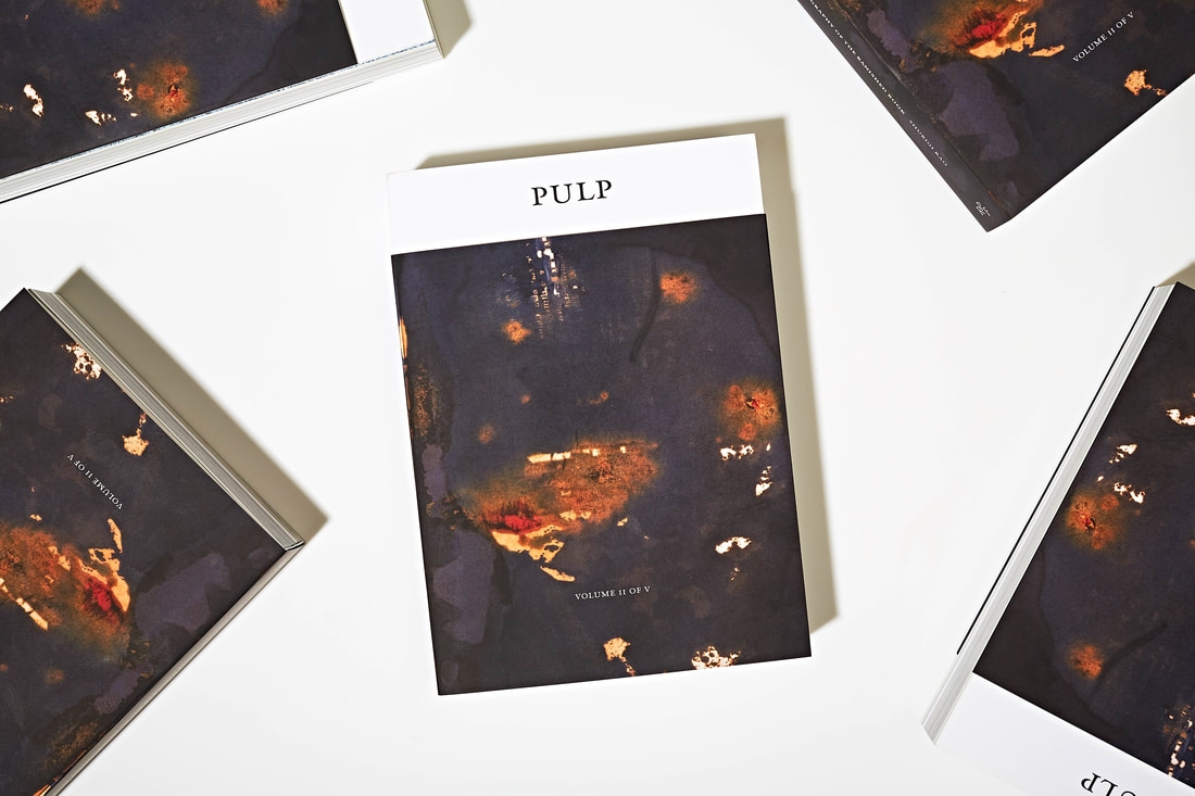 Pulp II: A Visual Bibliography of the Banished Book, by Shubigi Rao. ARA Summer 2019 Book