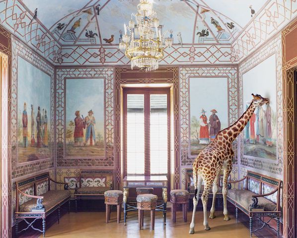 Karen Knorr, Love at First Sight, Palazinna Cinese, 2017. ARA Autumn 2019 Preview