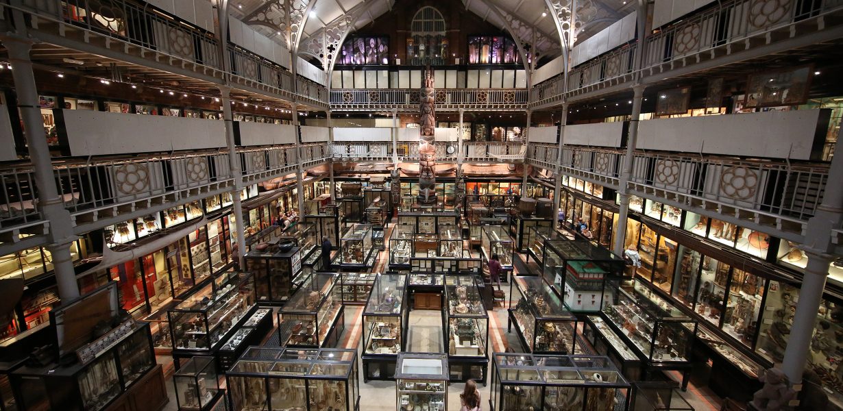 Oxford's Pitt Rivers museum removes shrunken heads from display - ArtReview