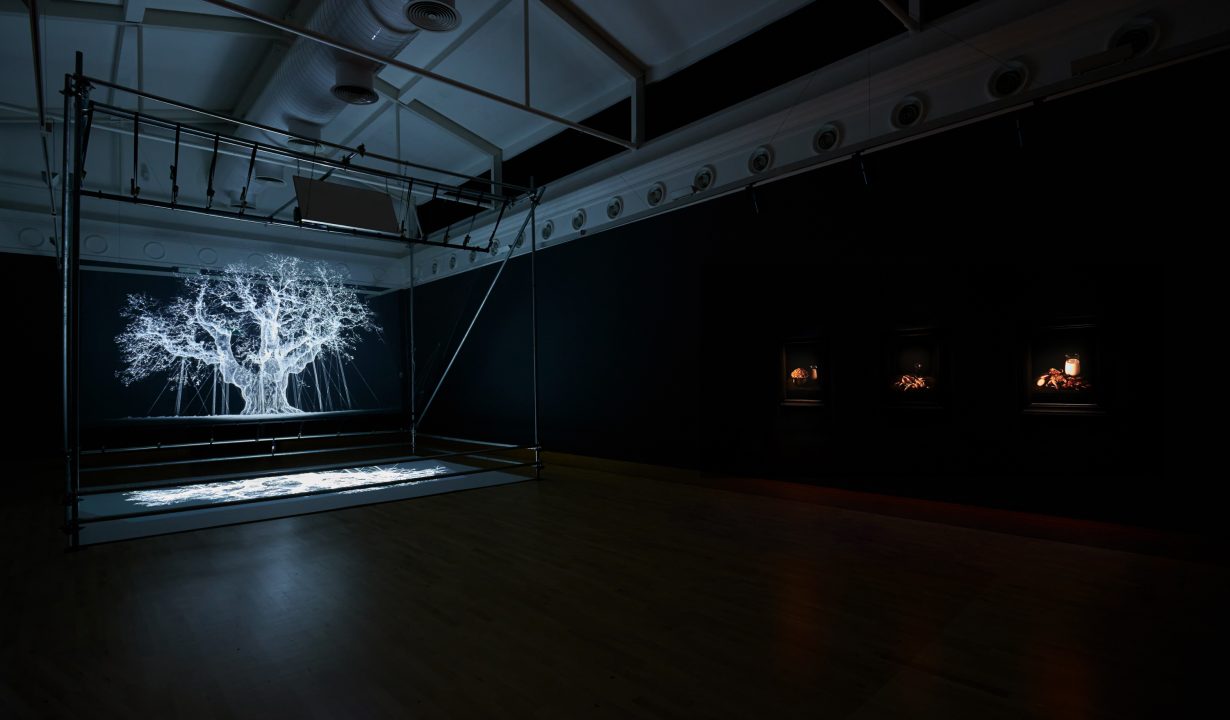 Mat Collishaw - Artreview