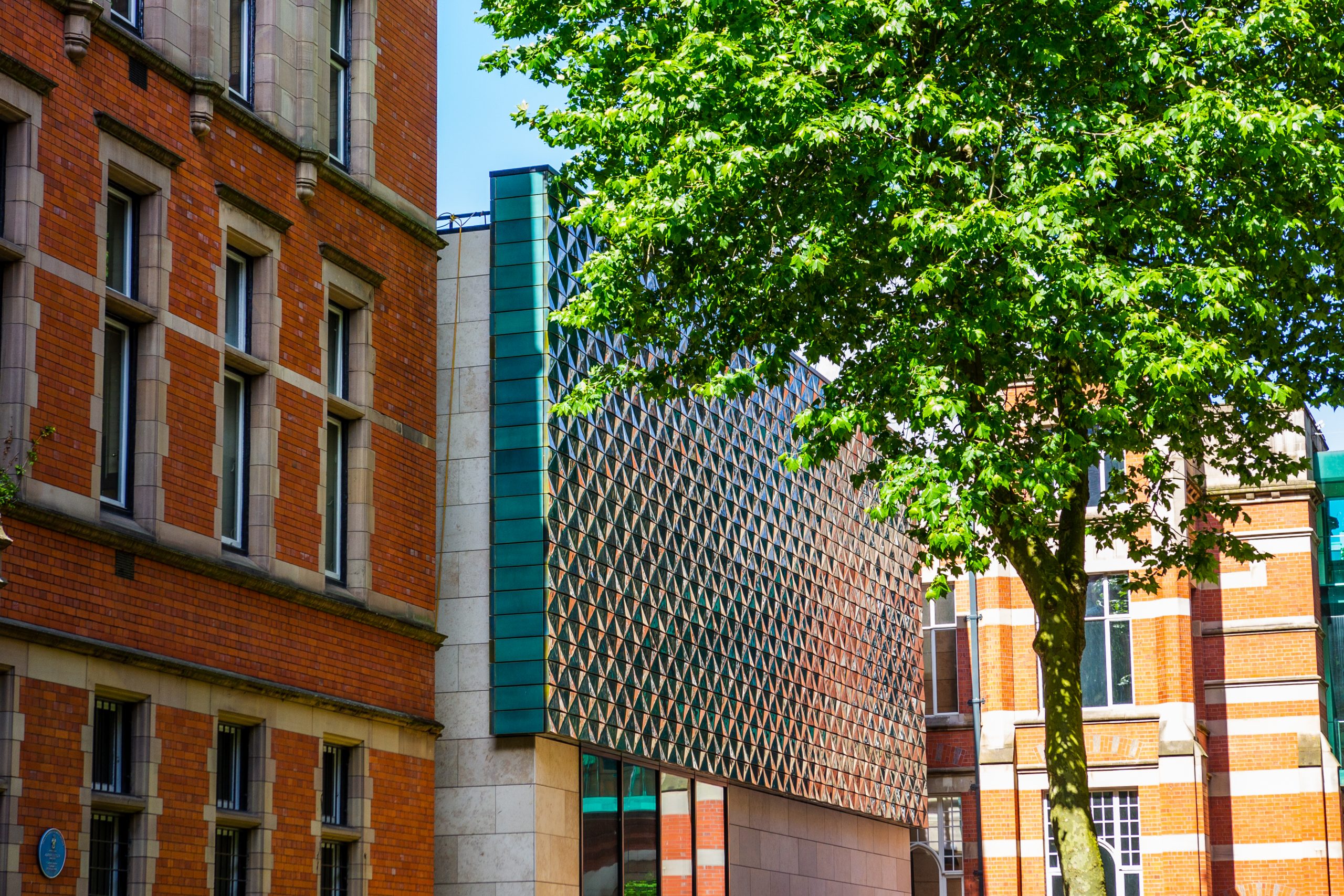 Manchester Museum reopens to the public after major redevelopment ...