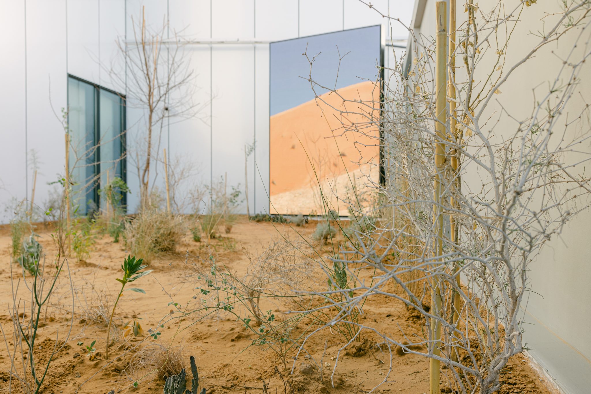 The Top 10 Contemporary Art Shows To See In March 2023 Artreview