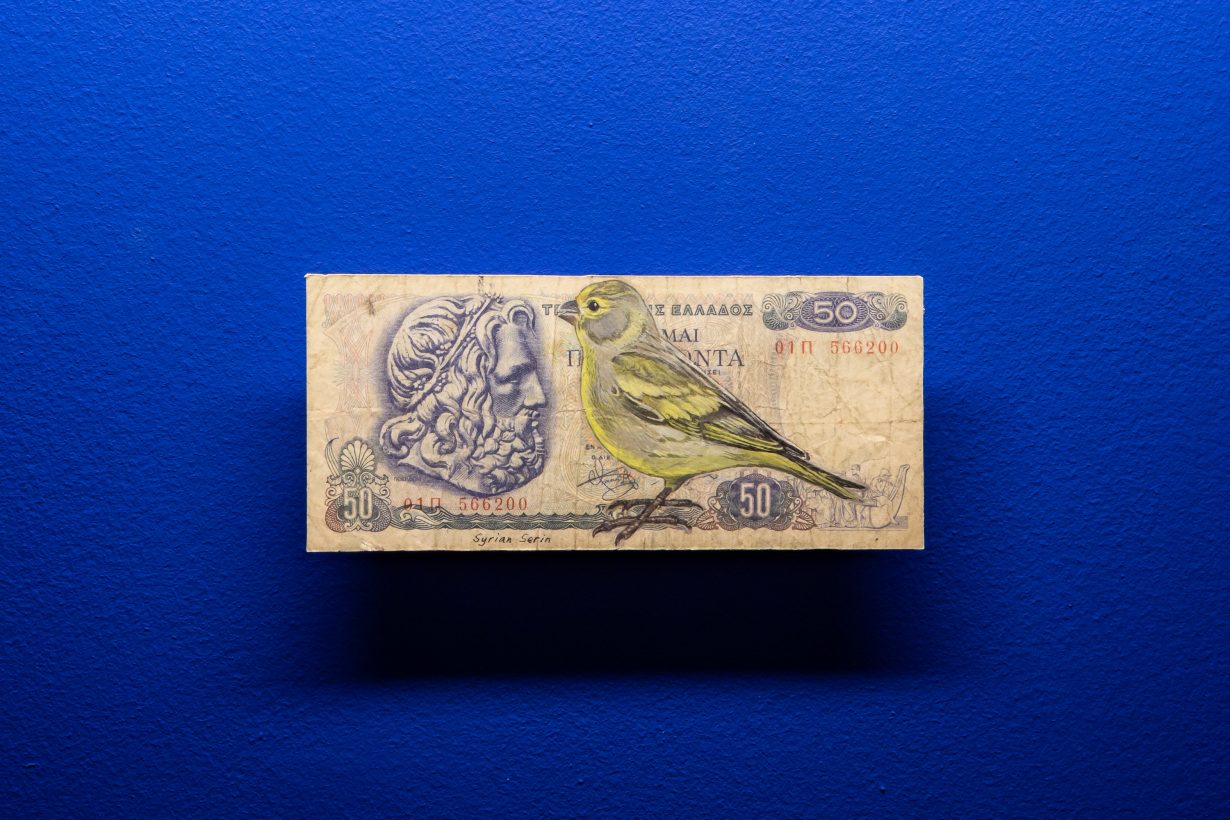 Hanna von Goeler, <em>Syrian Serin, Serinus syriacus</em>, 2015, watercolour and gouache on defunct Greek paper currency, from Migration series, 2016–23. Photo: Sally Jubb. Courtesy Talbot Rice Gallery, University of Edinburgh