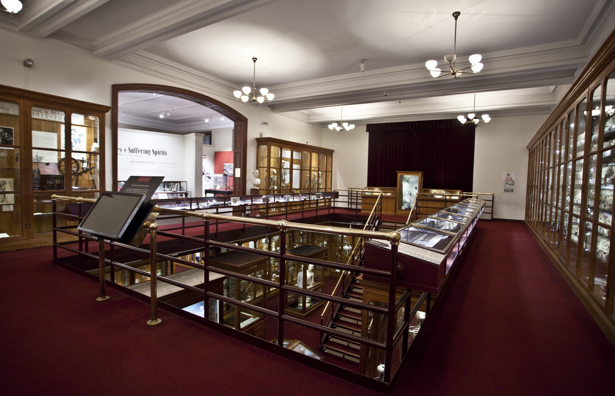 Display view from the Mutter Museum, 2017. Courtesy of the College of Physicians of Philadelphia