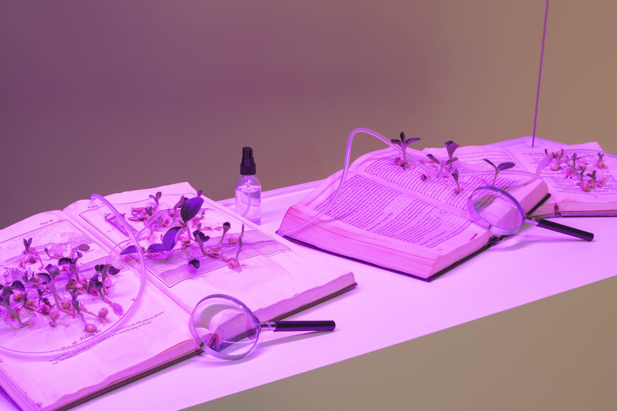 Whose Interests Does AI Serve ArtReview