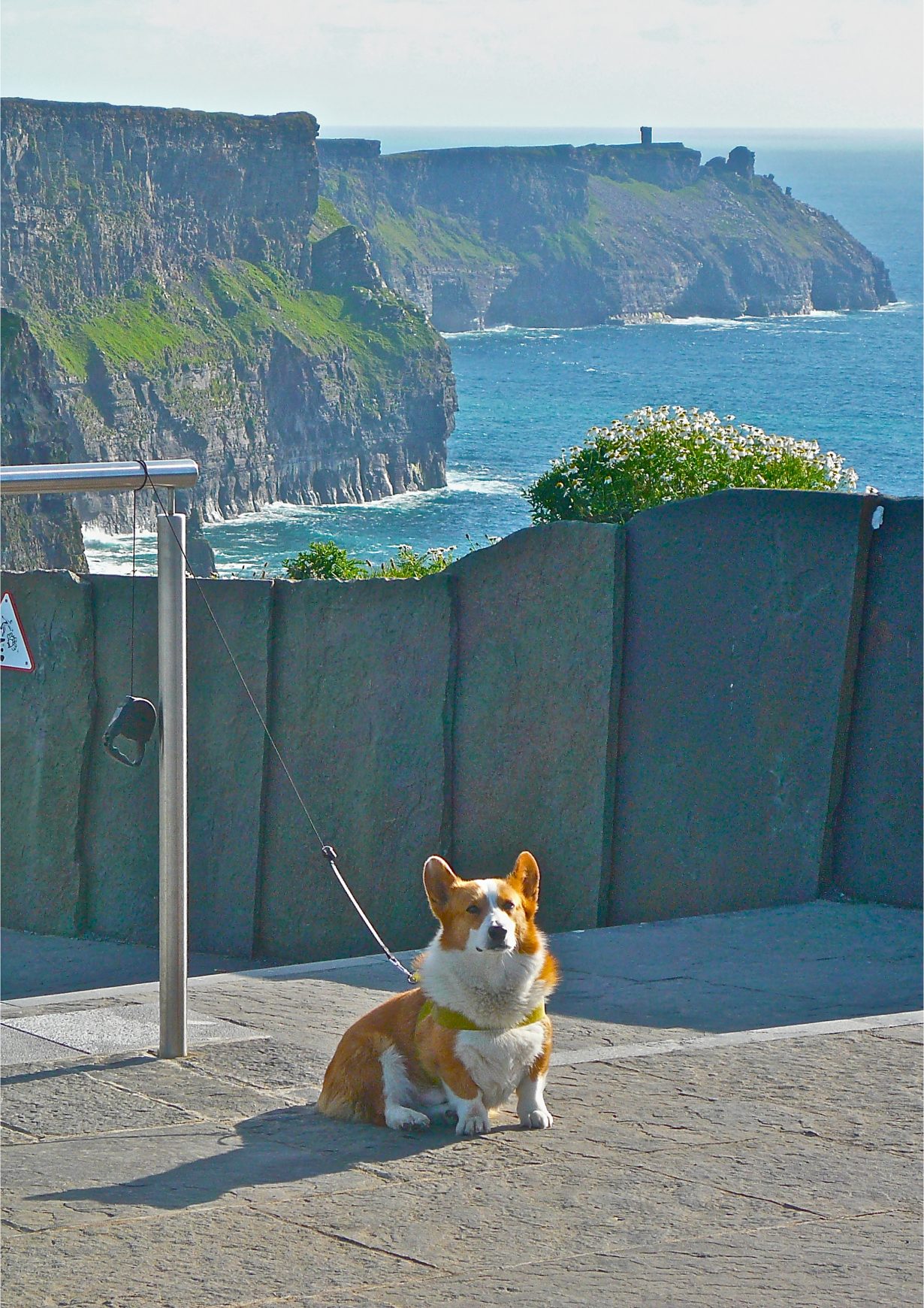 Cliffs of Moher