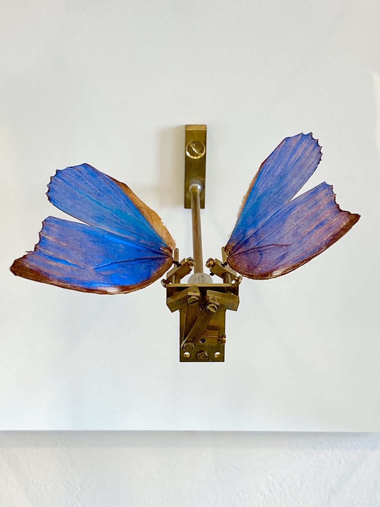 Butterfly (detail), Butterfly, steel, mechanical parts and electric motor, 1990. Archive Rebecca Horn © VG Bild-Kunst, Bonn 2024