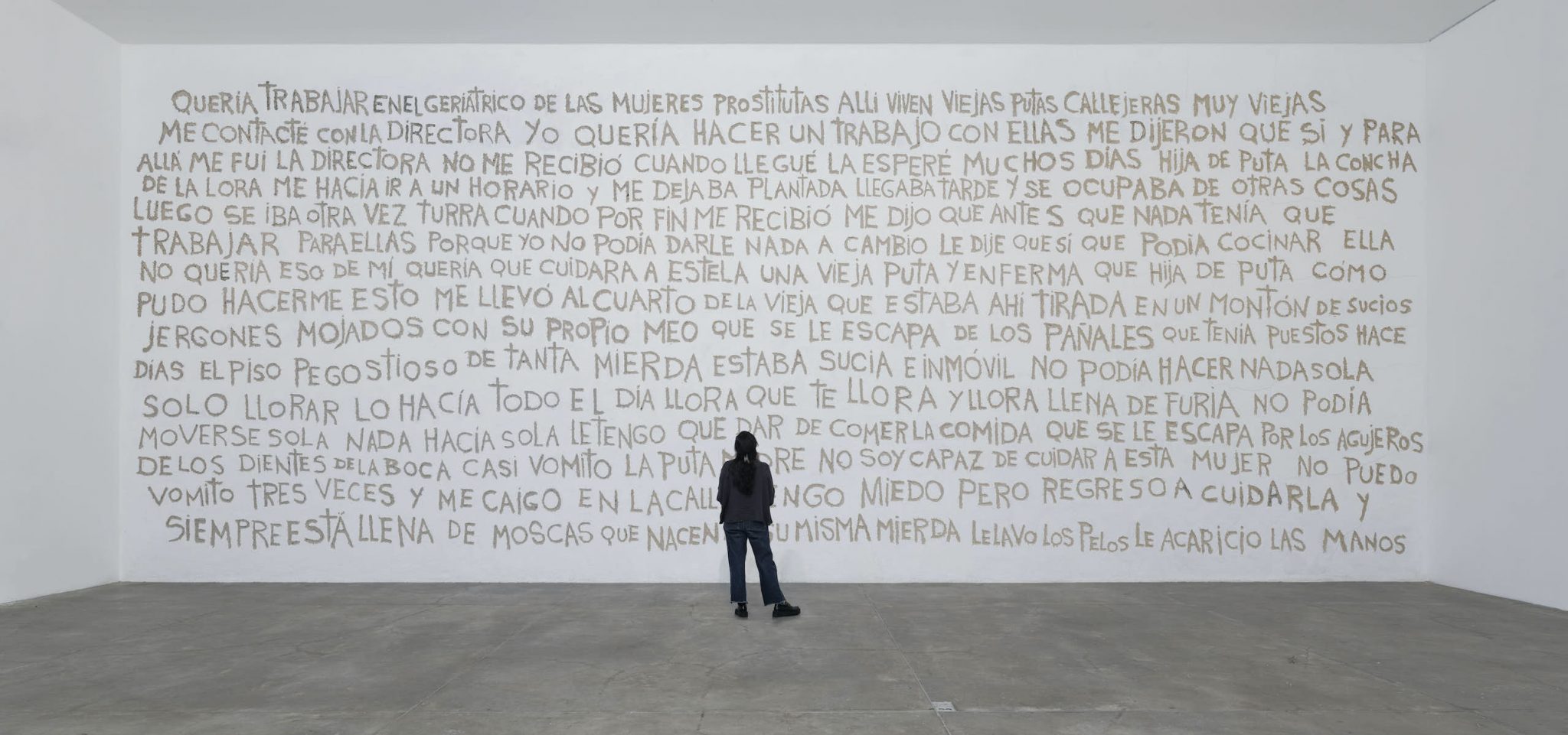 Ana Gallardo, Extracto para un fracasado proyecto (Extract for a failed project, 2011–2024). It has since been removed from the exhibition. Photo courtesy MUAC