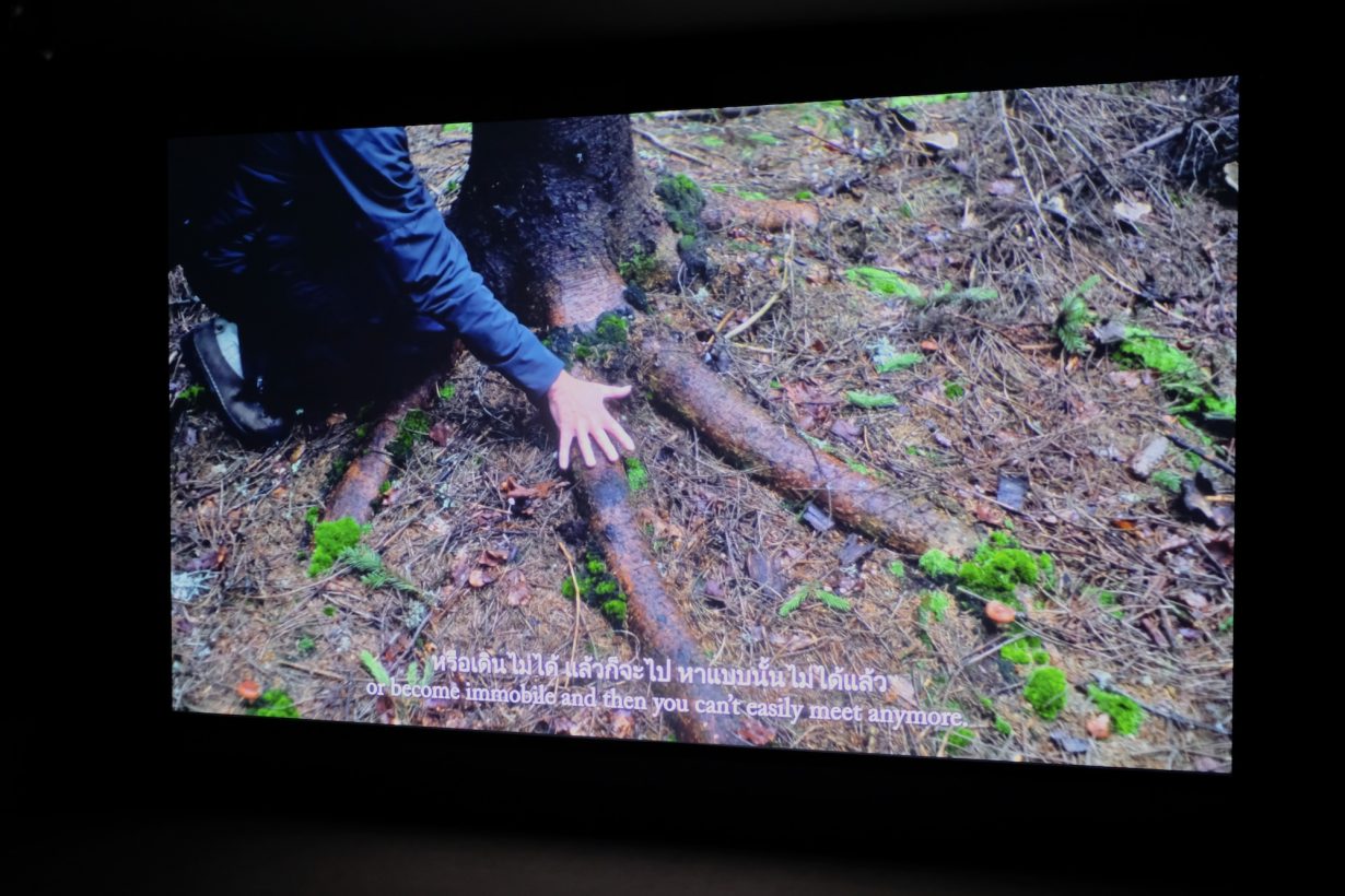 Rob Crosse, Wood for the Trees, 2023. HD video with surround sound, 12mins loop. Edition 2 of 5 with 2 artist proofs. Installation view at One Bangkok. Photo by Arina Matvee