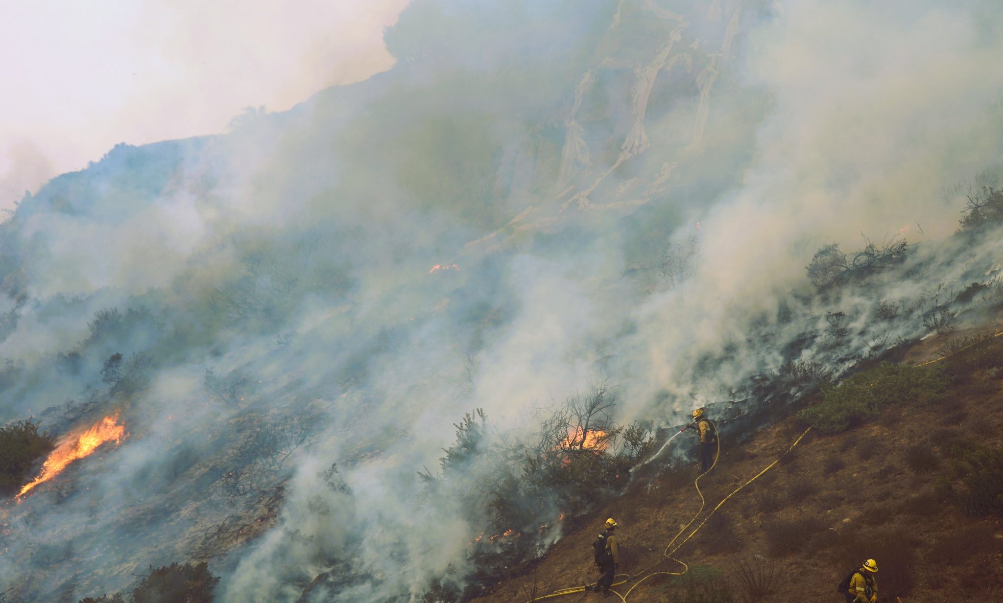 Palisades Fire, January 2025. Photo © CAL FIRE Official, Public domain, via Wikimedia Commons