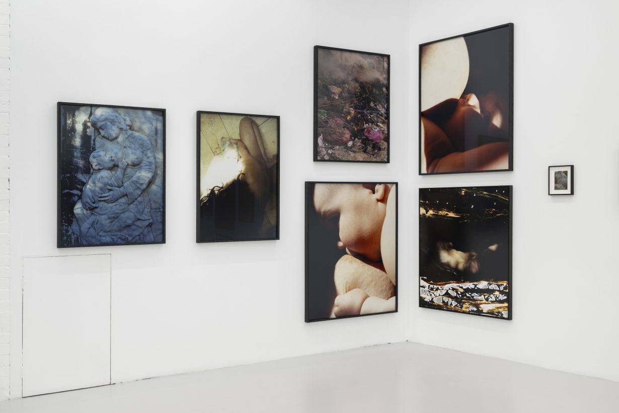 The Garden (installation view). © Harley Weir. Courtesy the artist and Hannah Barry Gallery, London, UK. Photo: Damian Griffiths