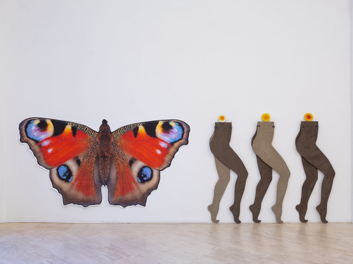 Anthea Hamilton, Soft You, 2025 (installation view). Courtesy the artist and Fondazione Memmo, Rome