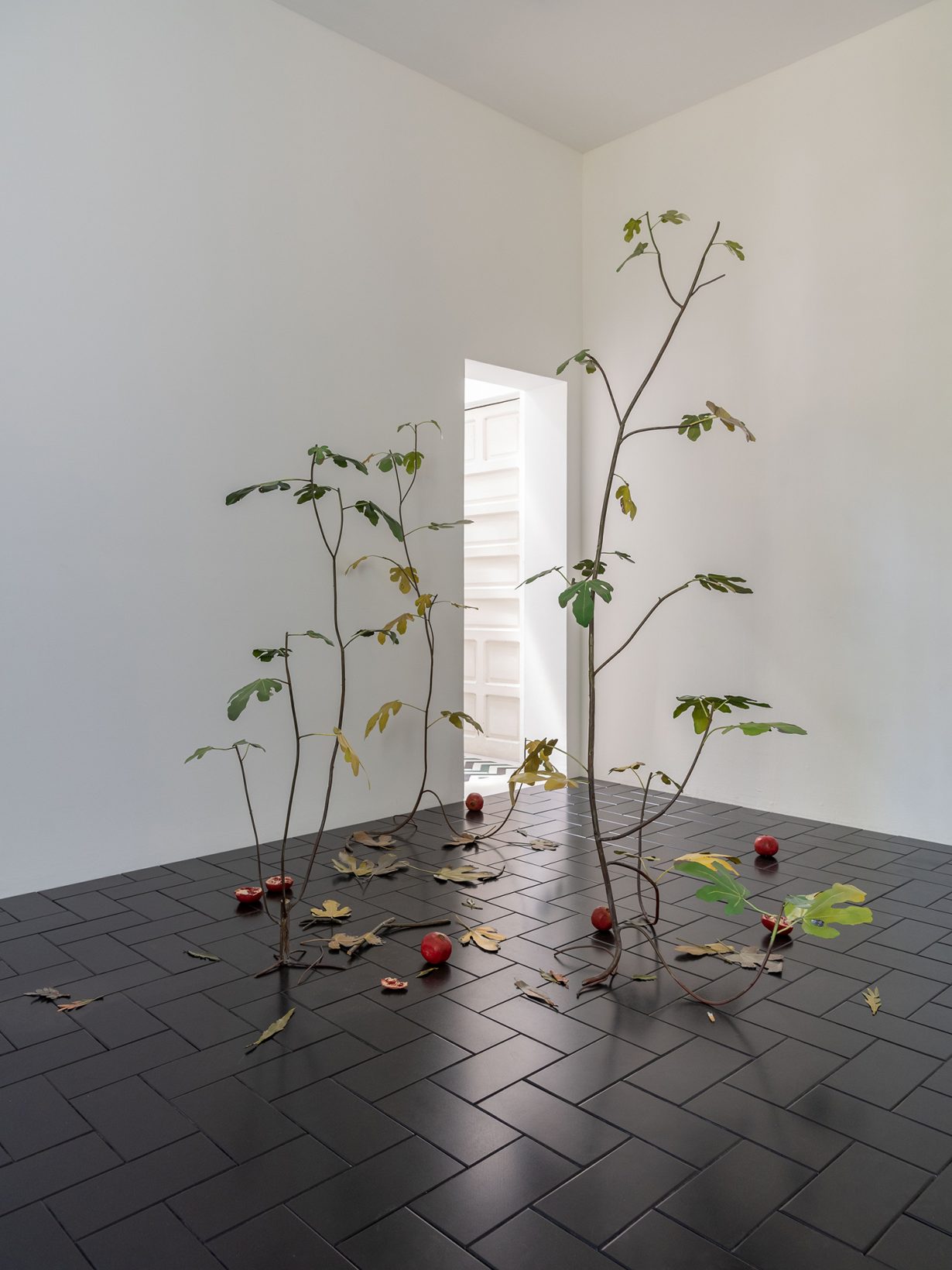 A room with a tiled floor and thin plant-like structures