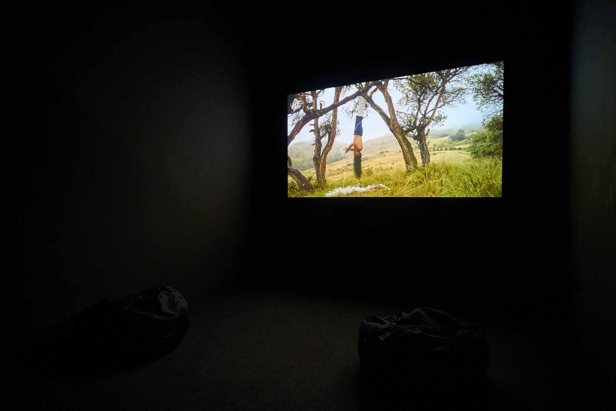 A film installation view 