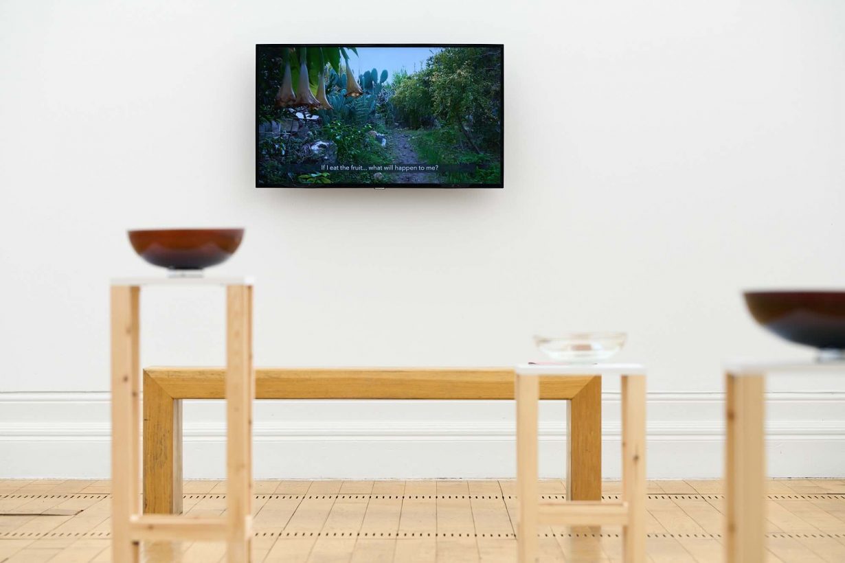 Installation view