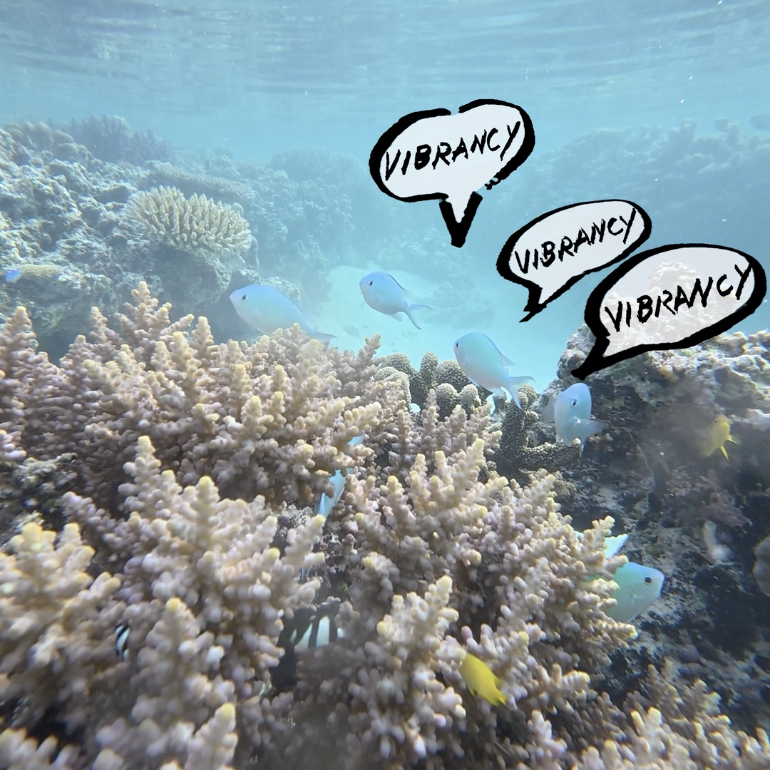 An underwater sccene with speech bubbles
