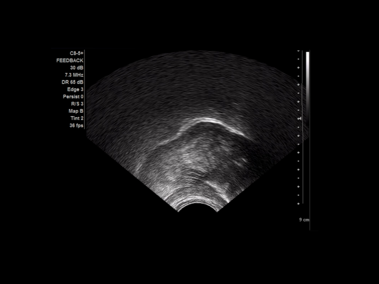 Art Lovers Movie Club: Mary Helena Clark, ‘Recital’, 2024