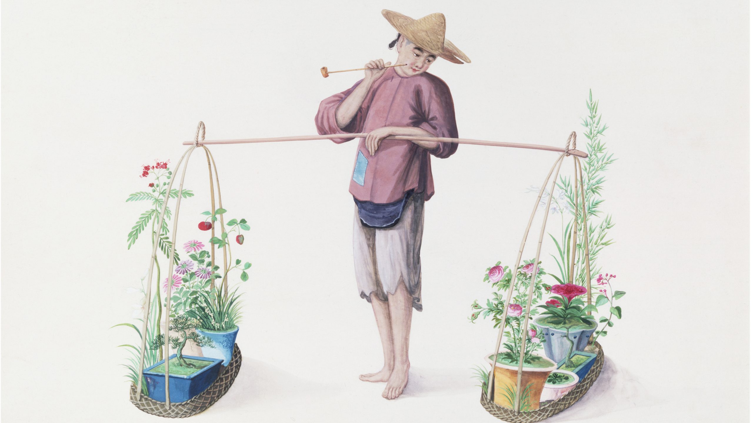 A Muddy History of Plant-Hunting