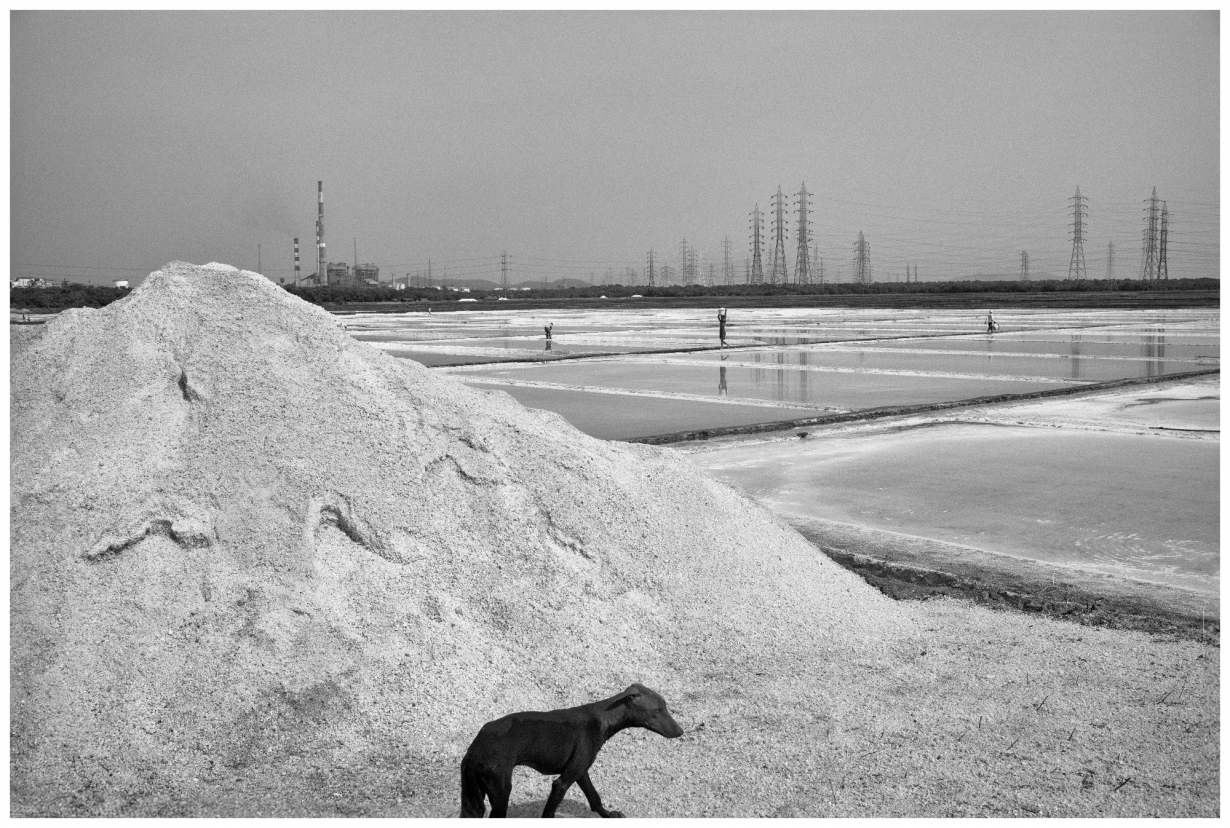 Sunhil Sippy, Wadala Salt Pans, 2019, archival inkjet print on Hahnemühle Photo Rag, 102 × 152 cm. Courtesy Galerie Mirchandani + Steinruecke, Mumbai