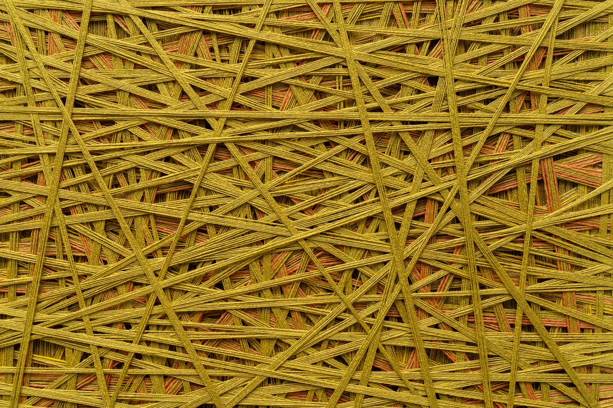 Secrets Entwined (detail), 2024