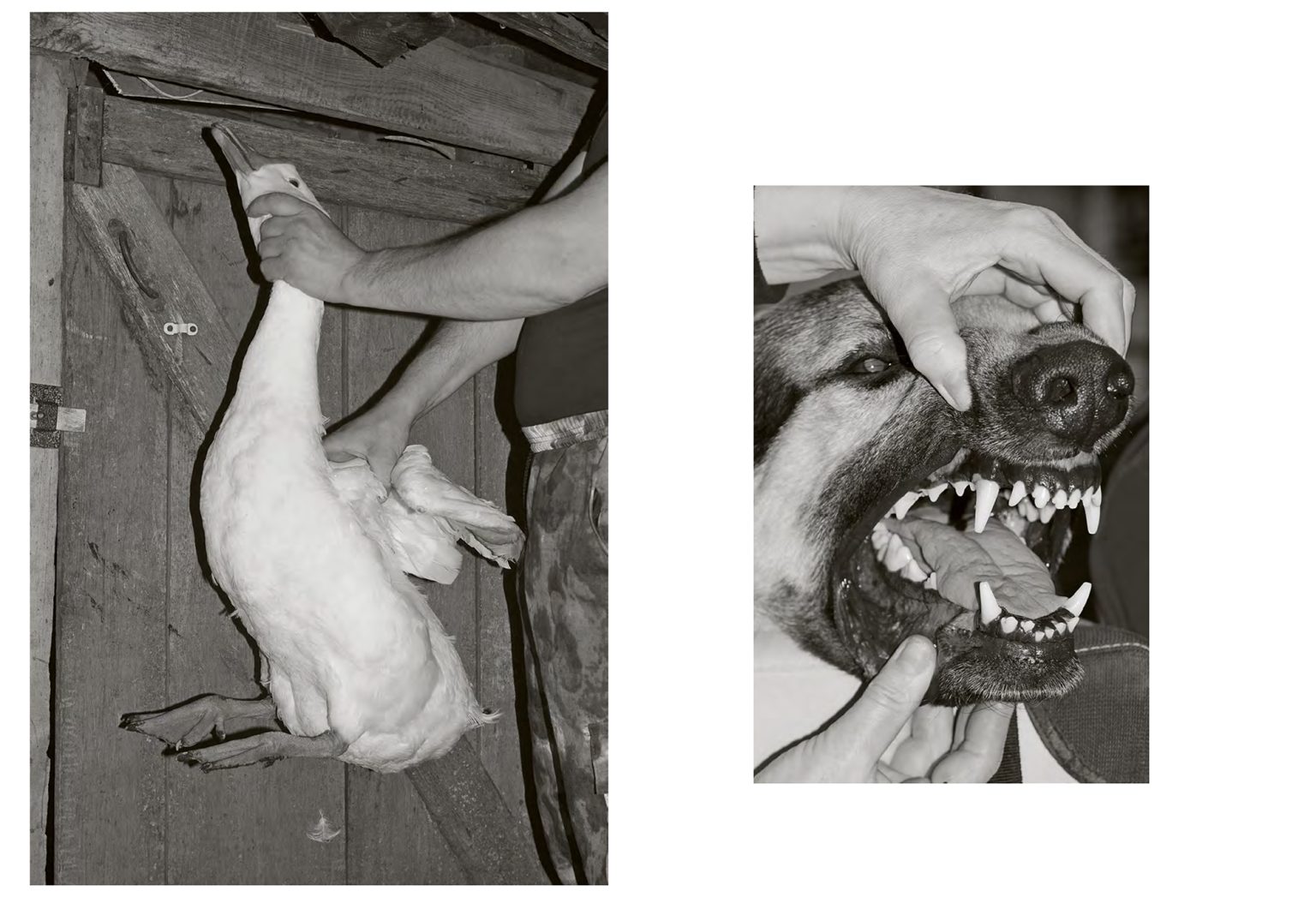 Pin Down Threads The Gut Instinct of Photography - ArtReview